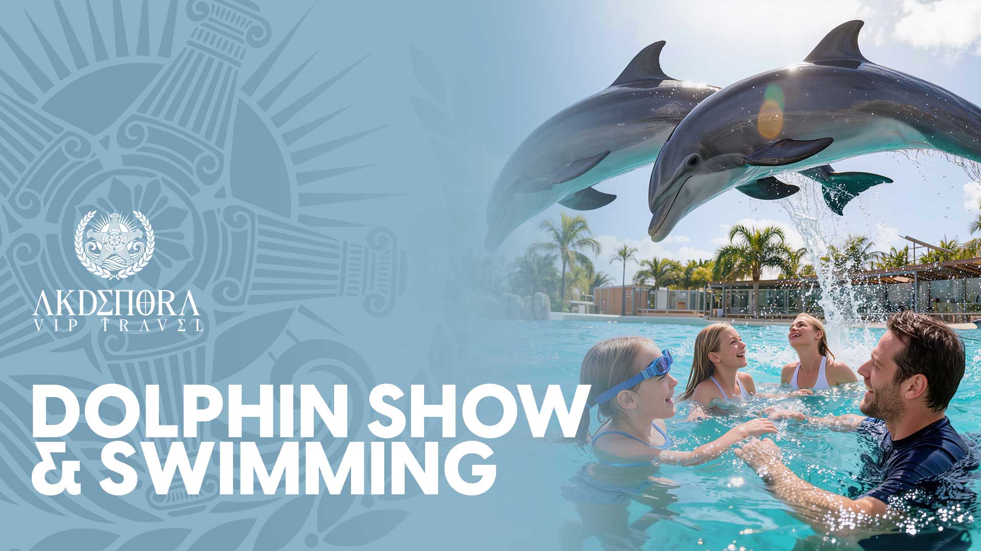 DOLPHIN SHOW & SWIMMING