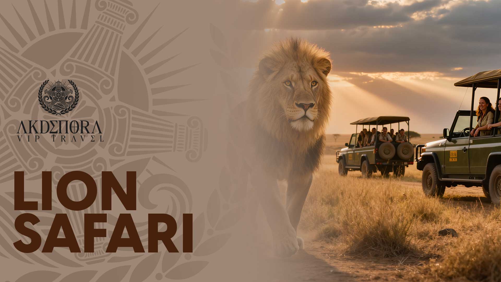 LION SAFARI 